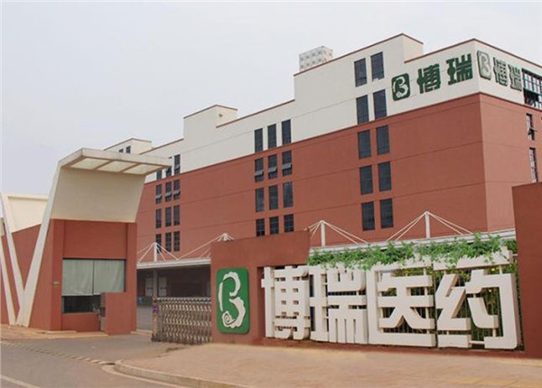 湖南博瑞醫(yī)藥產(chǎn)業(yè)園遠程預付費系統(tǒng)